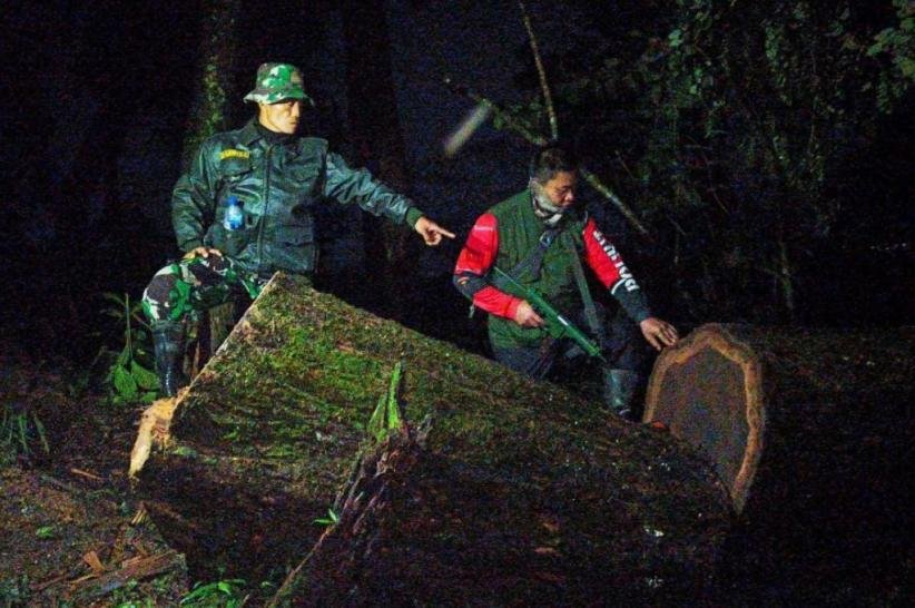 TNI dan Polhut Gagalkan Pembalakan Liar di Gunung Ciremai, Truk Bermuatan Kayu Diamankan